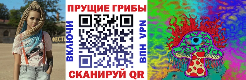 OMG   купить закладку  Первомайск  Псилоцибиновые грибы мухоморы 